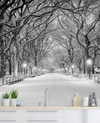 mural de papel pintado monocromo personalizado de Nueva York llamado Central Park cubierto de nieve para salas de estar o comedores
