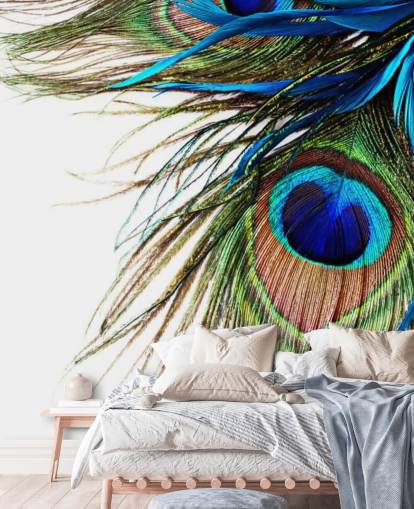 blue, green and white custom peacock wallpaper mural called Large Peacock Feathers for bedrooms