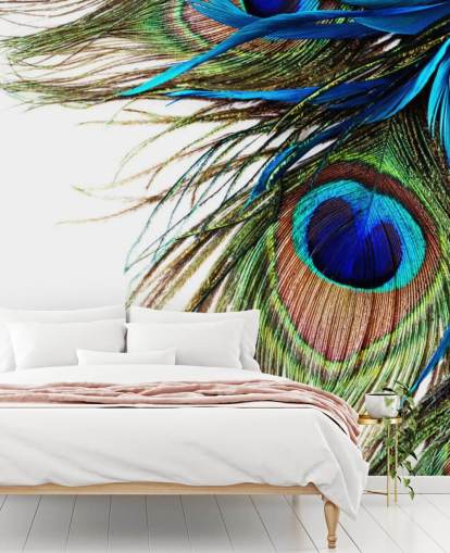 blue, green and white custom peacock wallpaper mural called Large Peacock Feathers for bedrooms