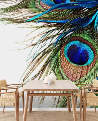 papier peint mural de paon personnalisé bleu, vert et blanc appelé Large Peacock Feathers pour chambres