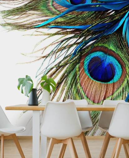 mural de papel pintado personalizado de pavo real azul, verde y blanco llamado Large Peacock Feathers para dormitorios