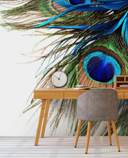blue, green and white custom peacock wallpaper mural called Large Peacock Feathers for bedrooms