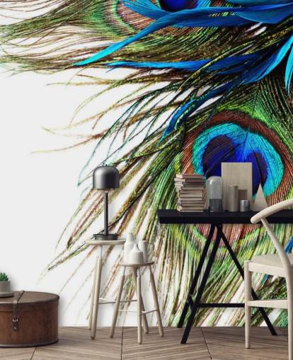 blue, green and white custom peacock wallpaper mural called Large Peacock Feathers for bedrooms