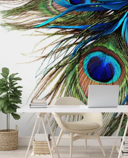 mural de papel pintado personalizado de pavo real azul, verde y blanco llamado Large Peacock Feathers para dormitorios