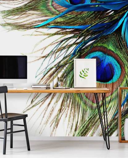 blå, grøn og hvid brugerdefineret påfugl tapetmaleri kaldet Large Peacock Feathers til soveværelser