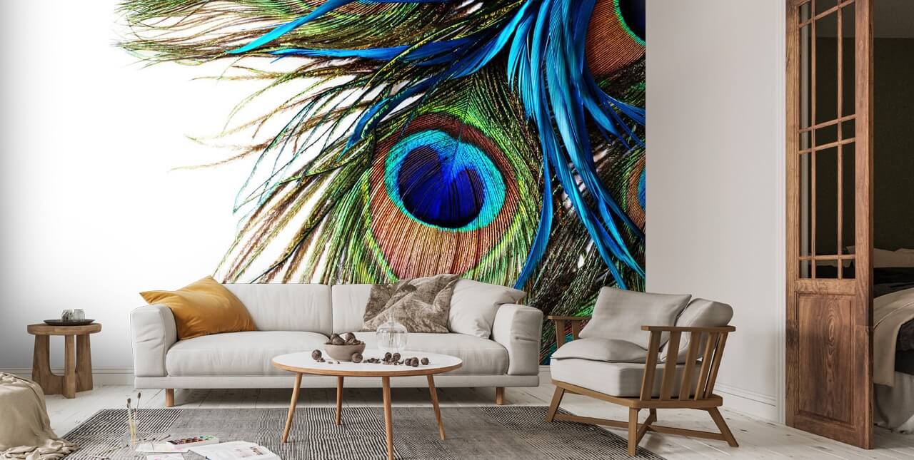 Large Peacock Feathers Wallpaper Mural