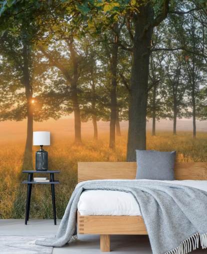 Bomen en zonsopgang behang