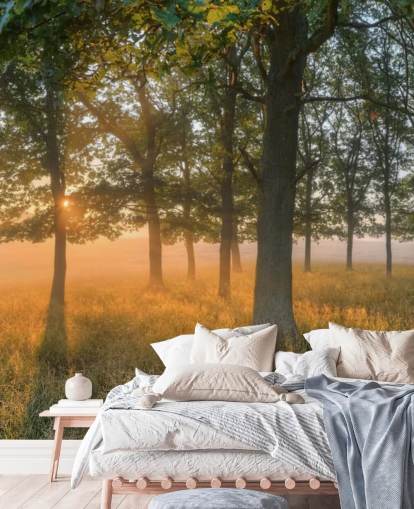 Bomen en zonsopgang behang