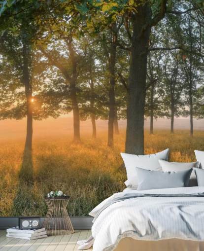 Trees and Sunrise Wallpaper