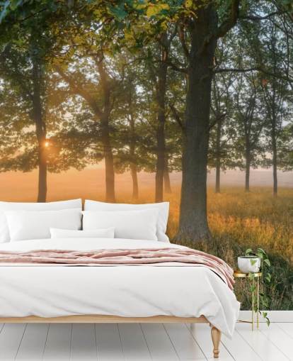 Trees and Sunrise Wallpaper