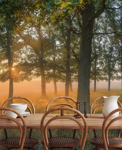 Trees and Sunrise Wallpaper