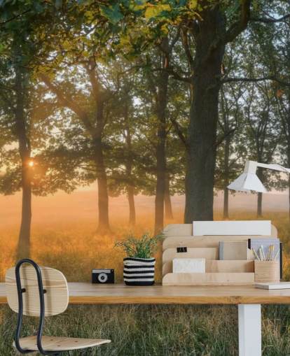 Papel Pintado Árboles y Amanecer