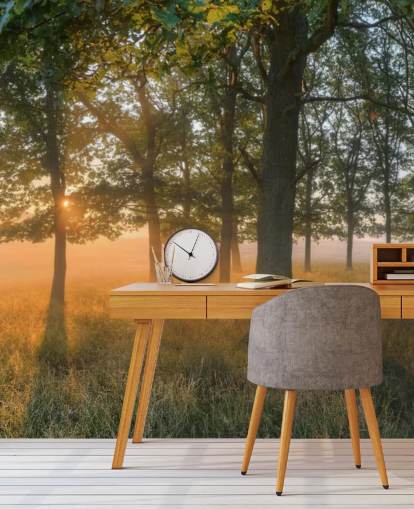 Trees and Sunrise Wallpaper