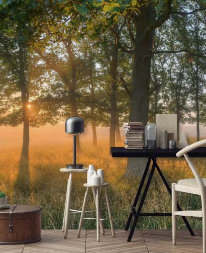 Trees and Sunrise Wallpaper