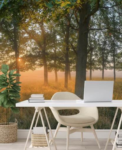 Trees and Sunrise Wallpaper