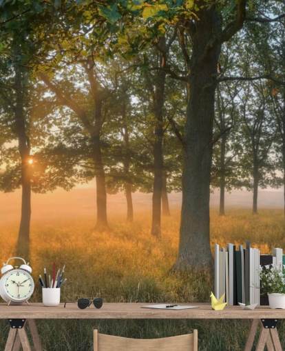 Sfondi Alberi e Sunrise