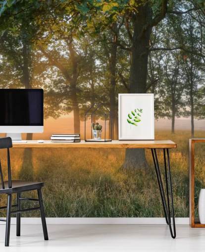 Bomen en zonsopgang behang