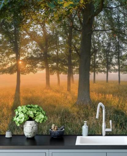 Bomen en zonsopgang behang