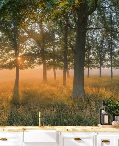 Sfondi Alberi e Sunrise Sfondi Alberi e Sunrise