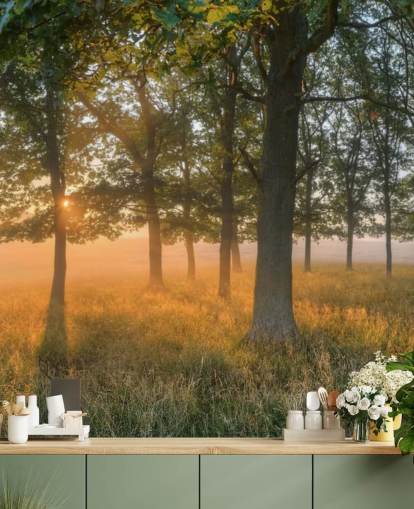 Sfondi Alberi e Sunrise Sfondi Alberi e Sunrise