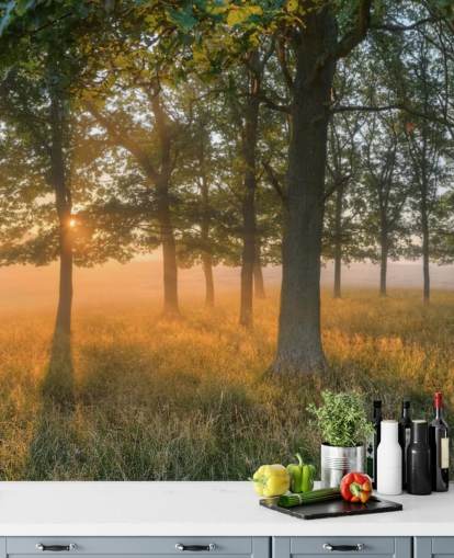 Bäume und Sonnenaufgang Wallpaper