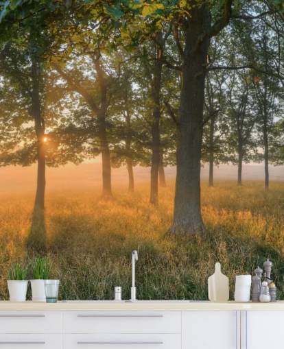 Papel Pintado Árboles y Amanecer