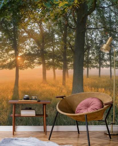 Sfondi Alberi e Sunrise