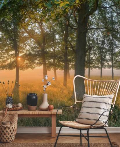 Sfondi Alberi e Sunrise