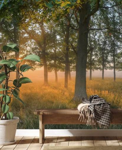 Sfondi Alberi e Sunrise