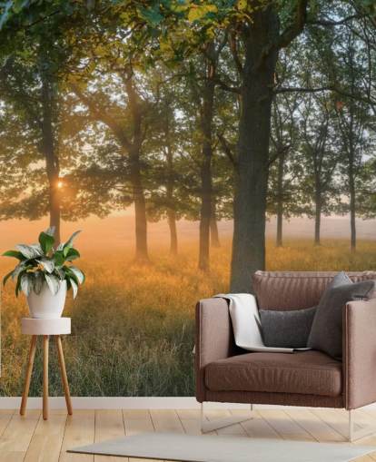 Trees and Sunrise Wallpaper Trees and Sunrise Wallpaper