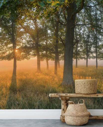 Trees and Sunrise Wallpaper