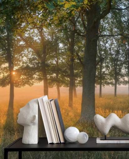 Trees and Sunrise Wallpaper Trees and Sunrise Wallpaper