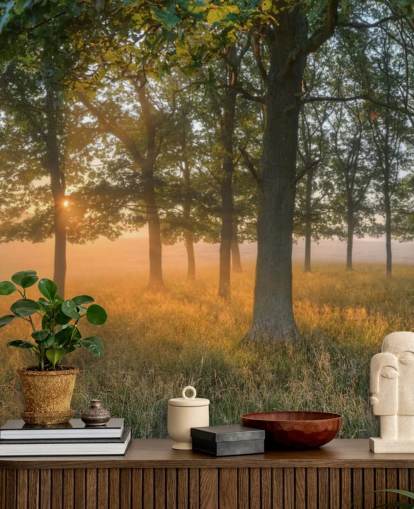 Trees and Sunrise Wallpaper