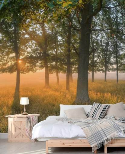 Trees and Sunrise Wallpaper