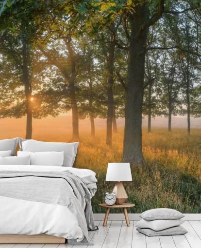 Trær og Sunrise Bakgrunn Trær og Sunrise Bakgrunn