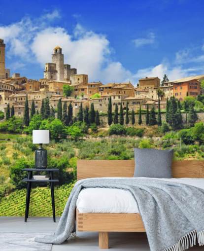 Italian Village on Hill Top Wall Mural