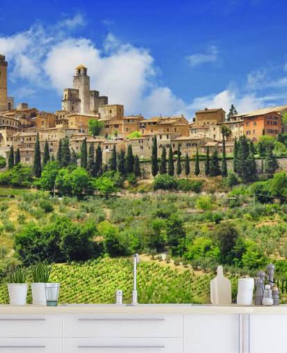 Italian Village on Hill Top Wall Mural