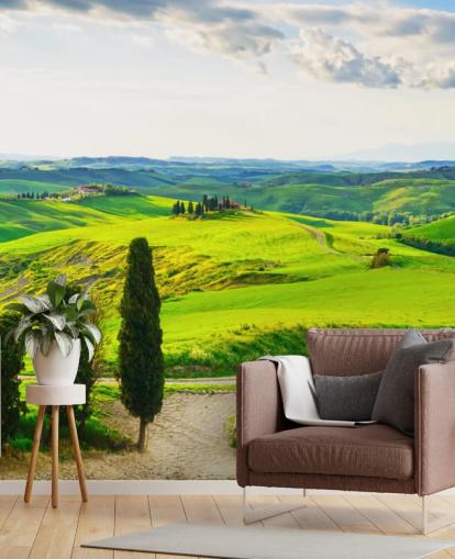 Decorazione murale con campi toscani in Italia