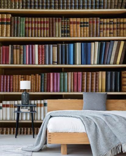 bogreol tapet vægmaleri kaldet Old Books Bogreol til stuer, kontorer og biblioteker