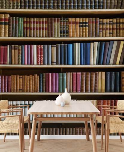 bogreol tapet vægmaleri kaldet Old Books Bogreol til stuer, kontorer og biblioteker