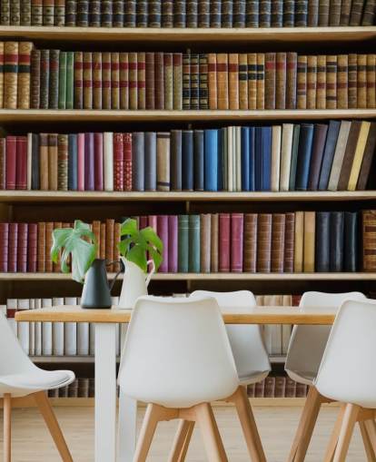 bookcase wallpaper mural called Old Books Bookcase for living rooms, offices and libraries