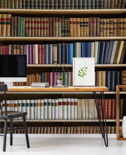 bogreol tapet vægmaleri kaldet Old Books Bogreol til stuer, kontorer og biblioteker