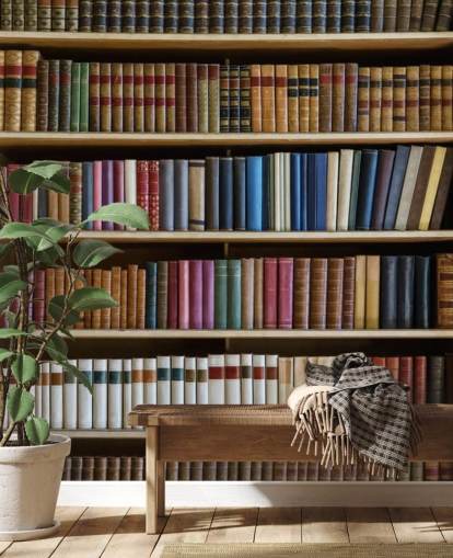 bookcase wallpaper mural called Old Books Bookcase for living rooms, offices and libraries