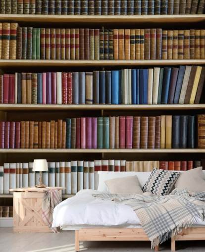 papier peint mural de bibliothèque appelé Old Books Bookcase pour salons, bureaux et bibliothèques papier peint mural de bibliothèque appelé Old Books Bookcase pour salons, bureaux et bibliothèques