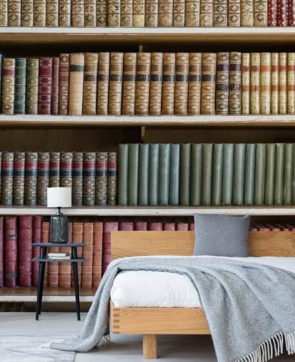 Papel pintado Libros en piel sobre estantería