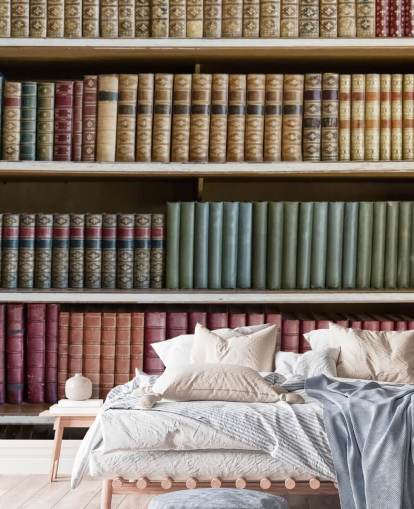 Leather Books on Bookshelf Wallpaper Mural