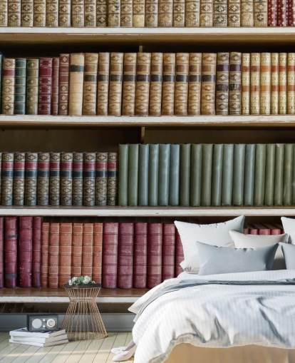 Papier Peint Fresque Livres en Cuir sur étagère