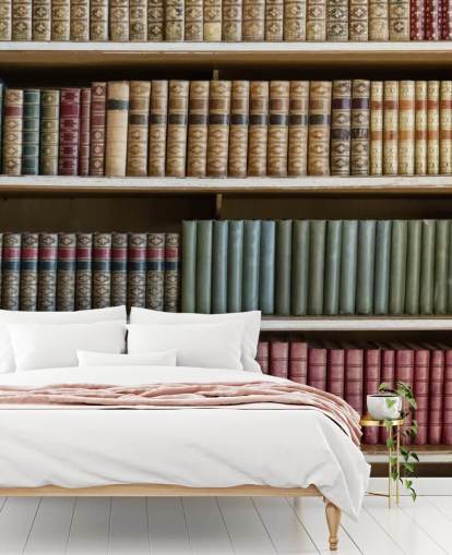 Papel pintado Libros en piel sobre estantería