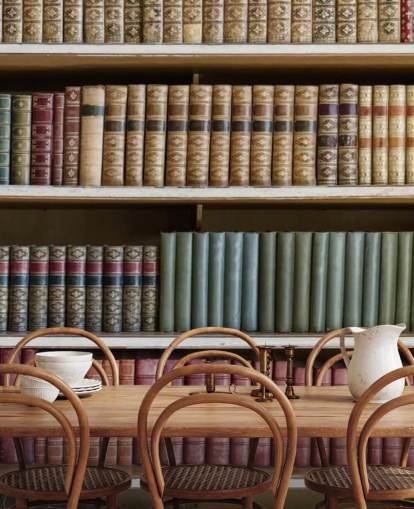 Leather Books on Bookshelf Wallpaper Mural