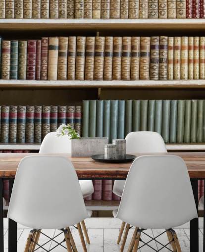 Leather Books on Bookshelf Wallpaper Mural